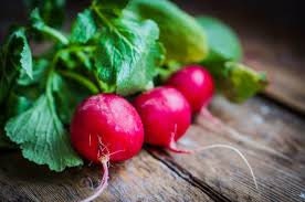 Heirloom Organic Early Scarlet Globe Radish seeds package, GrowTime Garden Supply