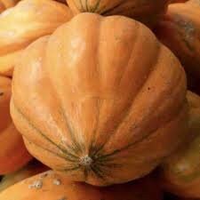 Load image into Gallery viewer, Rare Pumpkin! Heirloom Organic Amish Pie Pumpkin seeds

