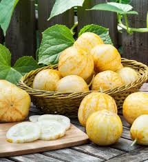 Rare Heirloom Organic Lemon Cucumber seeds package, GrowTime Garden Supply