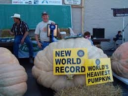 Organic Dills Atlantic Giant Pumpkin seeds package, GrowTime Garden Supply