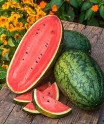Heirloom Organic Georgia Rattlesnake Watermelon seeds package, GrowTime Garden Supply