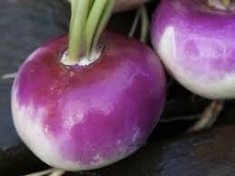 Load image into Gallery viewer, Heirloom Organic American Purple Top Rutabaga
