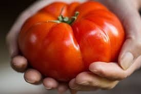 Heirloom Organic Mortgage Lifter Tomato seeds package, GrowTime Garden Supply