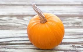 Heirloom Organic Small Sugar Pumpkin seeds package, GrowTime Garden Supply