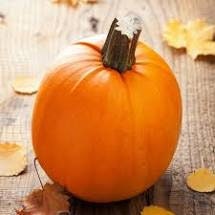 Heirloom Organic Small Sugar Pumpkin Seeds, additional product view 2