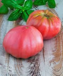Heirloom Organic Brandywine Tomato seeds package, GrowTime Garden Supply