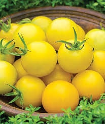 Organic Honey Delight Hybrid Tomato seeds package, GrowTime Garden Supply
