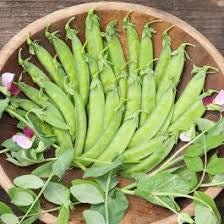 Heirloom Organic Dwarf Gray Sugar Garden Pea seeds package, GrowTime Garden Supply