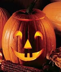Heirloom Organic Jack O Lantern Pumpkin seeds package, GrowTime Garden Supply