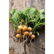 Heirloom Organic Golden Helios Radish seeds package, GrowTime Garden Supply
