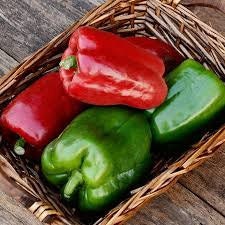 Organic California Wonder 300 TMR Sweet Bell Pepper seeds package, GrowTime Garden Supply