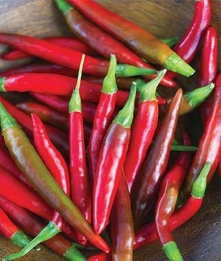 Organic Big Thai Hot Pepper Hybrid seeds package, GrowTime Garden Supply