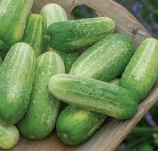 Organic Picklebush Cucumber seeds package, GrowTime Garden Supply