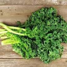 Heirloom Organic Dwarf Siberian Improved Kale seeds package, GrowTime Garden Supply