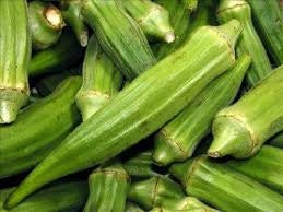 Heirloom Organic Dwarf Stalk Green Long Pod Okra seeds package, GrowTime Garden Supply