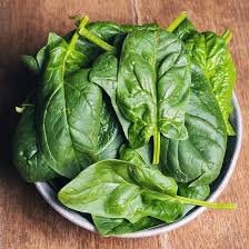 Heirloom Organic Giant Noble Spinach Seeds, additional product view 2