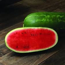 Organic Heirloom Jubilee Watermelon seeds package, GrowTime Garden Supply