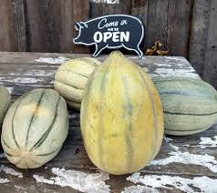 RARE Heirloom Organic Bidwell Casaba Melon Seeds, additional product view 2