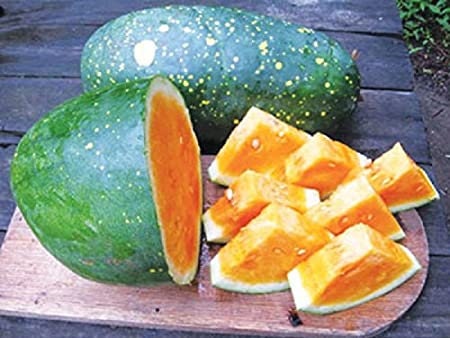 Load image into Gallery viewer, RARE Heirloom Organic YELLOW FLESH Moon and Stars Watermelon Seeds (Sun, Moon and stars Watermelon) Seeds
