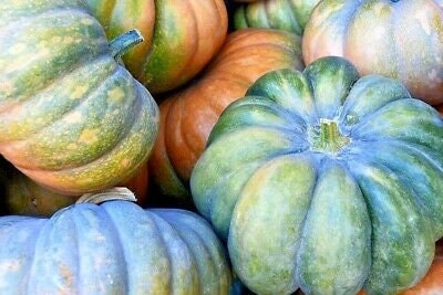 Load image into Gallery viewer, RARE Heirloom Organic Cinderella Pumpkin Seeds (Musquee De Provence Pumpkin, Fairytale pumpkin)
