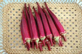 Load image into Gallery viewer, Heirloom Organic Red Burgundy Okra Seeds
