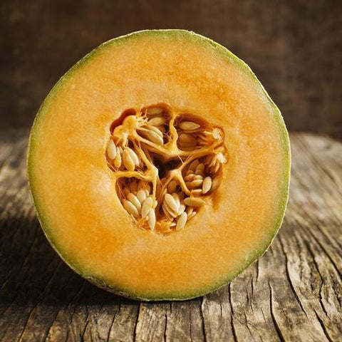 Rare Heirloom Organic Honey Rock Muskmelon seeds package, GrowTime Garden Supply
