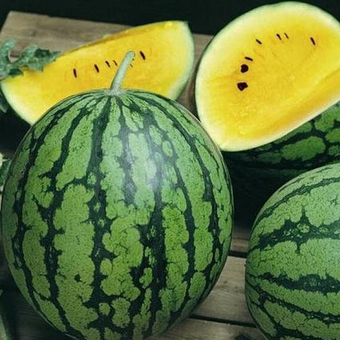 RARE Heirloom Organic Yellow Petite Watermelon Seeds, additional product view 2