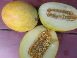 Load image into Gallery viewer, Rare Heirloom Organic Sharlyn Melon Seeds (Aka Pineapple Melon, Ananas Melon, Ananas D'Amerique a Chair Verte)
