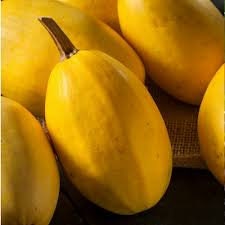 Organic Heirloom Spaghetti Squash Seeds, additional product view 2