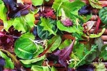 Organic Gourmet Salad seed mix package, GrowTime Garden Supply