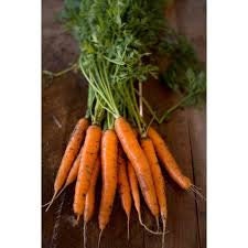 Heirloom Organic Tendersweet Carrot Seeds, additional product view 2