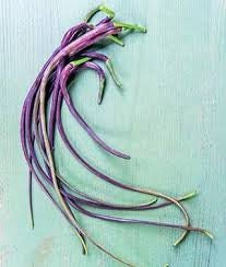 Heirloom Organic Dragon's Tail Radish seeds package, GrowTime Garden Supply