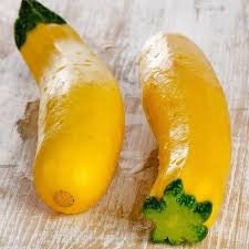 Heirloom Organic Early Prolific Straightneck Squash seeds package, GrowTime Garden Supply