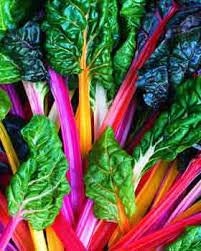 Heirloom Organic Rainbow Swiss Chard seeds package, GrowTime Garden Supply