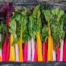 Load image into Gallery viewer, Heirloom Organic Rainbow Swiss Chard Seeds
