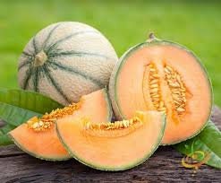 Heirloom Organic Hale's Best Jumbo Cantaloupe seeds package, GrowTime Garden Supply