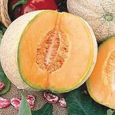 Load image into Gallery viewer, Heirloom Organic Edisto Cantaloupe Seeds
