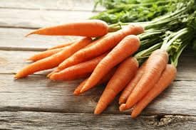 Organic Long Imperator Carrot seeds package, GrowTime Garden Supply