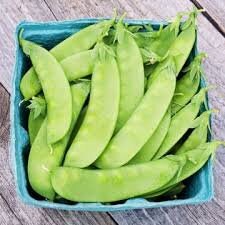 Organic Oregon Sugar Pod Pea seeds package, GrowTime Garden Supply