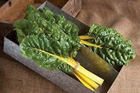Heirloom Organic Golden Sunrise Swiss Chard seeds package, GrowTime Garden Supply