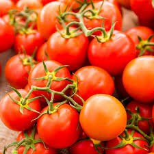 Heirloom Organic Sweetie Tomato seeds package, GrowTime Garden Supply