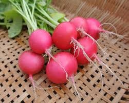 Organic Heirloom Pink Beauty Radish seeds package, GrowTime Garden Supply