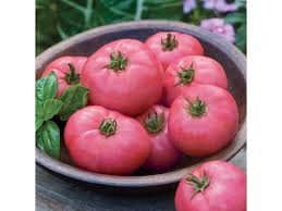 Organic Big Pink Tomato seeds package, GrowTime Garden Supply