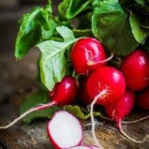 Load image into Gallery viewer, Heirloom Organic Cherry Belle Radish Seeds
