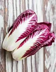 Heirloom Organic Early Treviso Radicchio seeds package, GrowTime Garden Supply