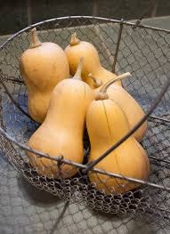 Load image into Gallery viewer, Heirloom Organic Winter Squash Butterbush Squash Seeds
