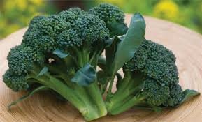 Organic Heirloom Sun King Broccoli seeds package, GrowTime Garden Supply