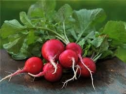 Load image into Gallery viewer, Organic Heirloom Crimson Giant Radish Seeds
