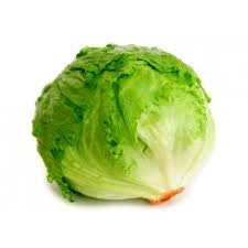 Heirloom Organic Great Lakes 118 Lettuce Seeds, additional product view 2
