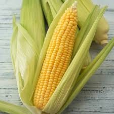 Heirloom Organic Golden Queen Corn seeds package, GrowTime Garden Supply